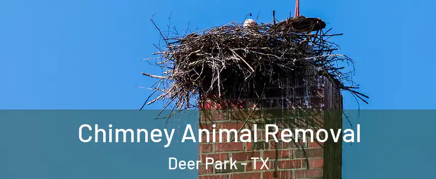  Chimney Animal Removal Deer Park - TX