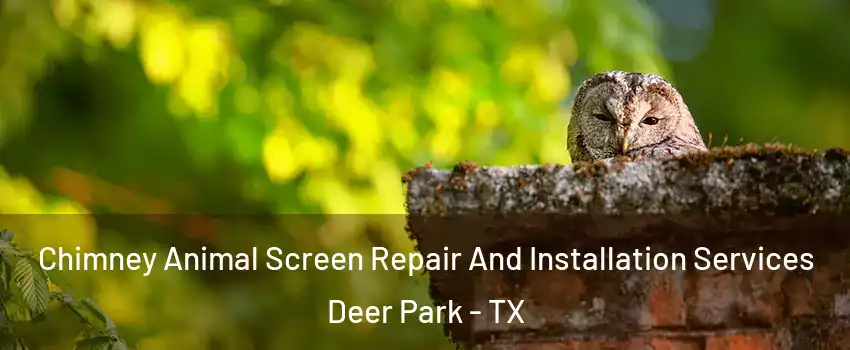  Chimney Animal Screen Repair And Installation Services Deer Park - TX