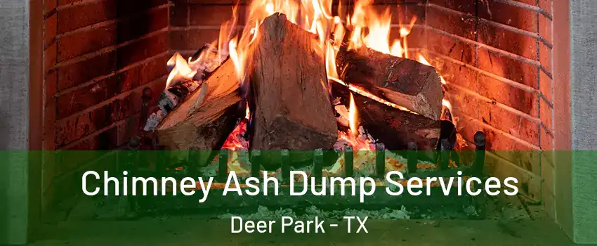  Chimney Ash Dump Services Deer Park - TX
