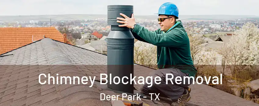  Chimney Blockage Removal Deer Park - TX