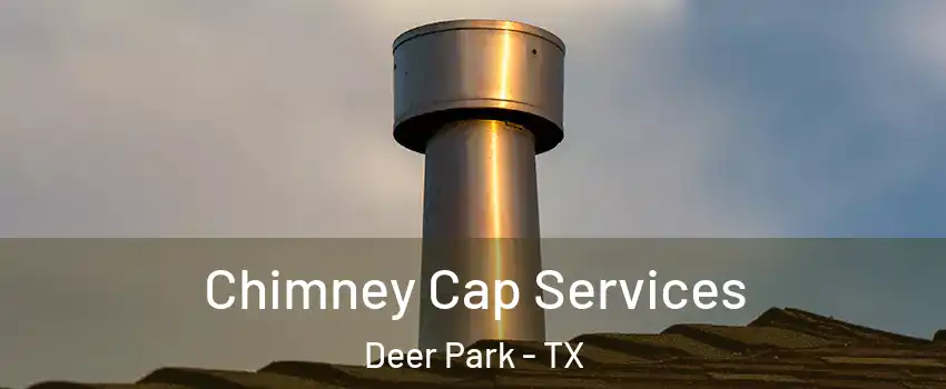  Chimney Cap Services Deer Park - TX