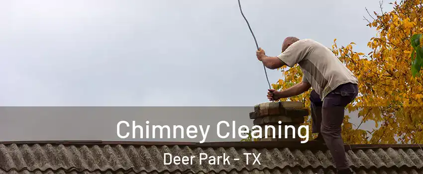  Chimney Cleaning Deer Park - TX