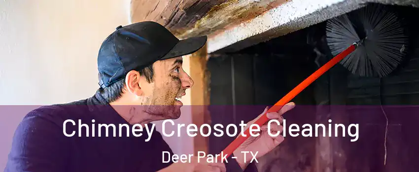  Chimney Creosote Cleaning Deer Park - TX