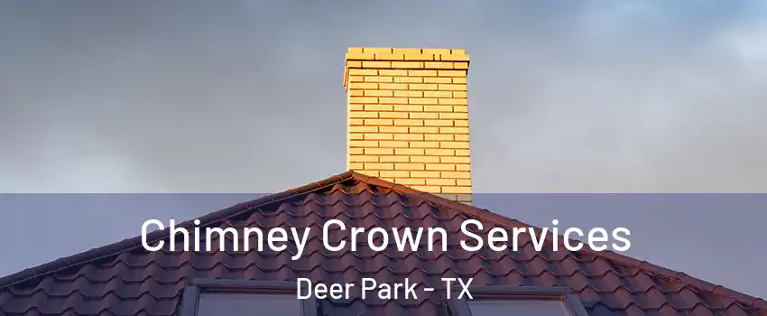 Chimney Crown Services Deer Park - TX
