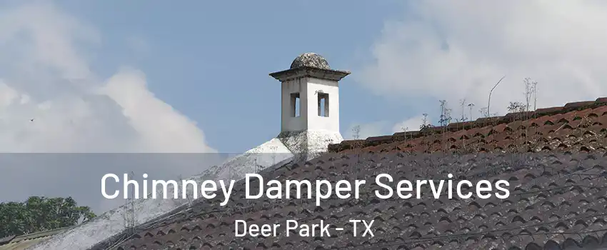  Chimney Damper Services Deer Park - TX