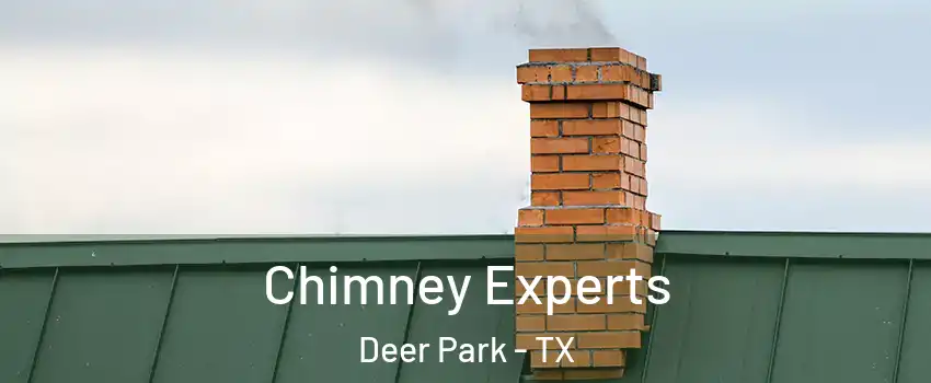 Chimney Experts Deer Park - TX