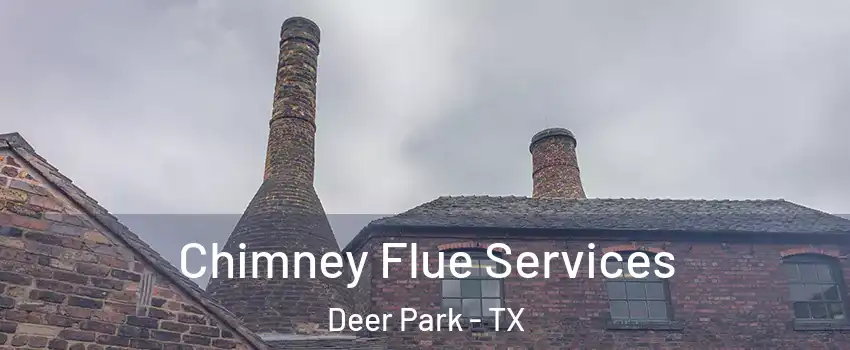  Chimney Flue Services Deer Park - TX