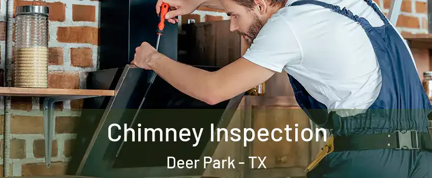  Chimney Inspection Deer Park - TX