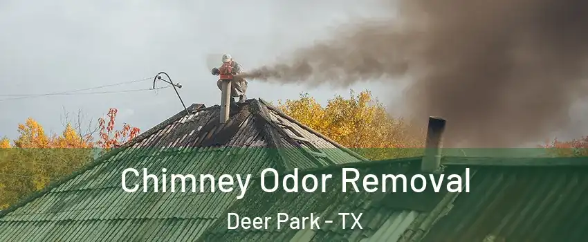  Chimney Odor Removal Deer Park - TX