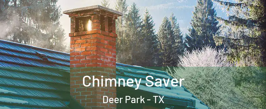  Chimney Saver Deer Park - TX
