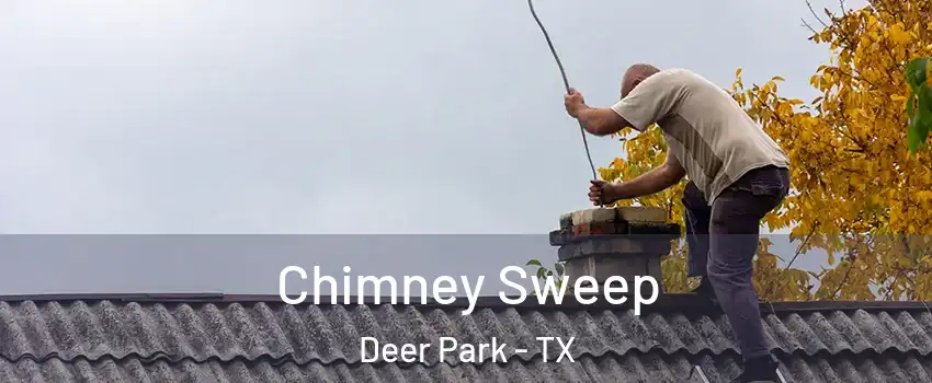  Chimney Sweep Deer Park - TX