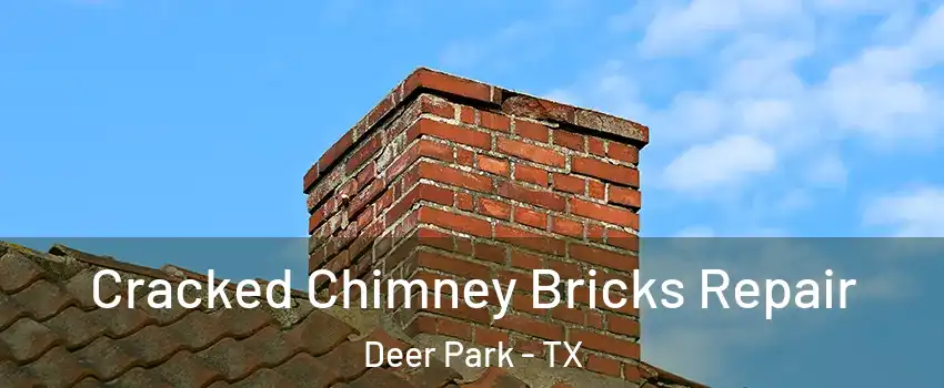  Cracked Chimney Bricks Repair Deer Park - TX