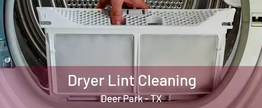  Dryer Lint Cleaning Deer Park - TX