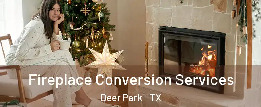 Fireplace Conversion Services Deer Park - TX