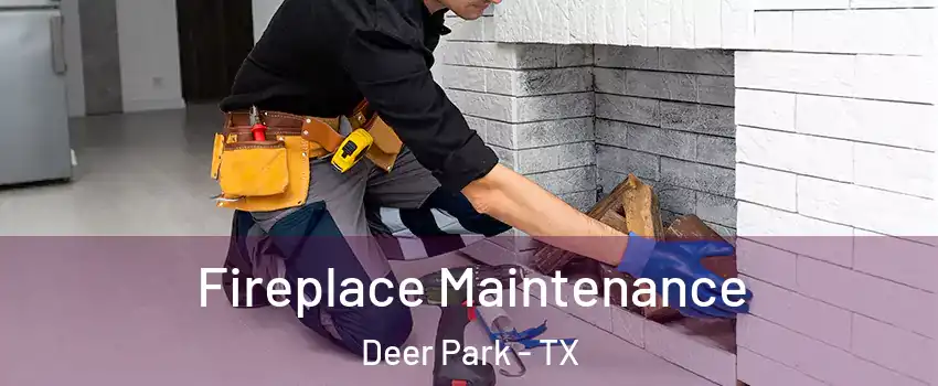  Fireplace Maintenance Deer Park - TX