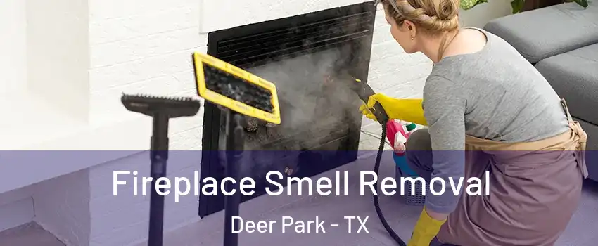  Fireplace Smell Removal Deer Park - TX