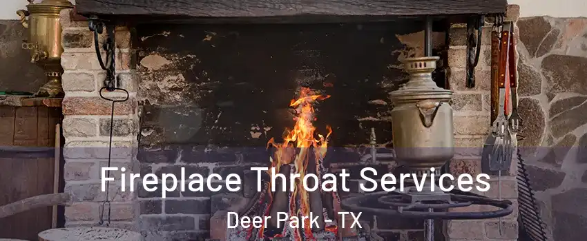  Fireplace Throat Services Deer Park - TX