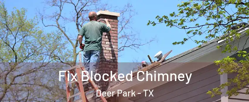  Fix Blocked Chimney Deer Park - TX