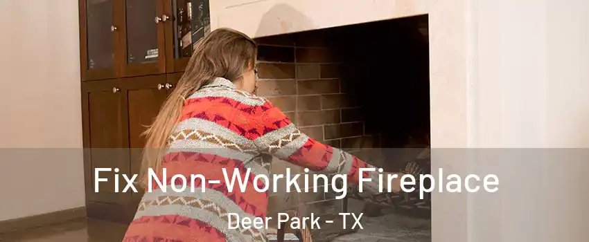  Fix Non-Working Fireplace Deer Park - TX