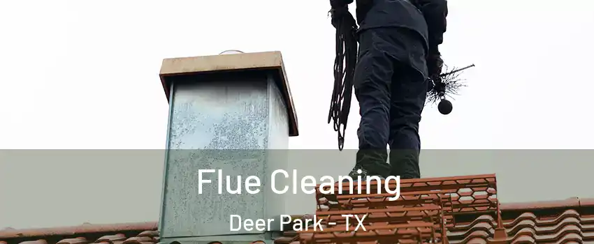  Flue Cleaning Deer Park - TX
