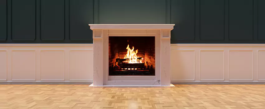 Napoleon Electric Fireplaces Inspection Service in Deer Park, Texas
