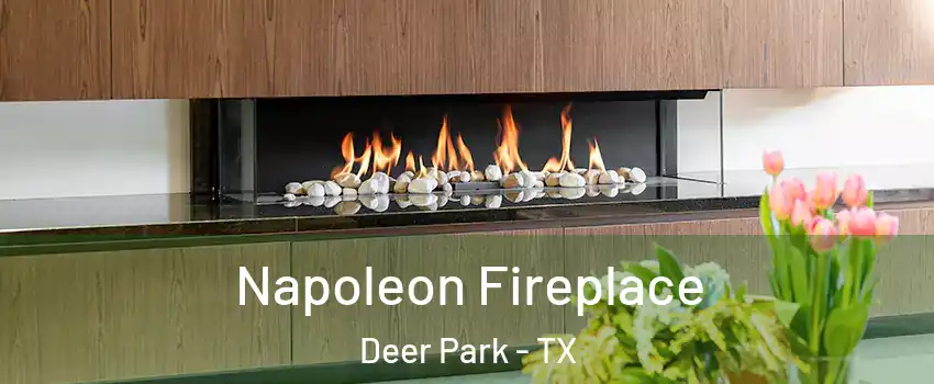  Napoleon Fireplace Deer Park - TX