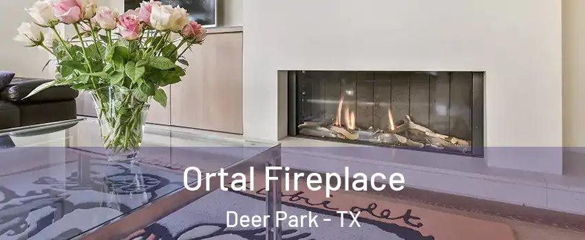 Ortal Fireplace Deer Park - TX